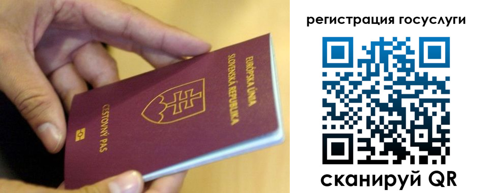 прописка в квартире в Чите