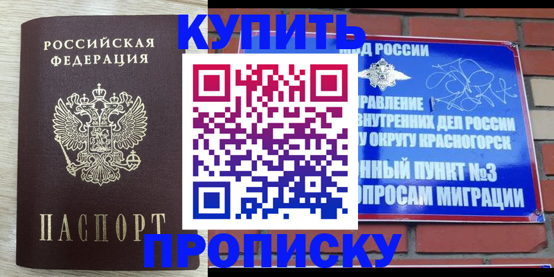 прописка гарантия в Чите
